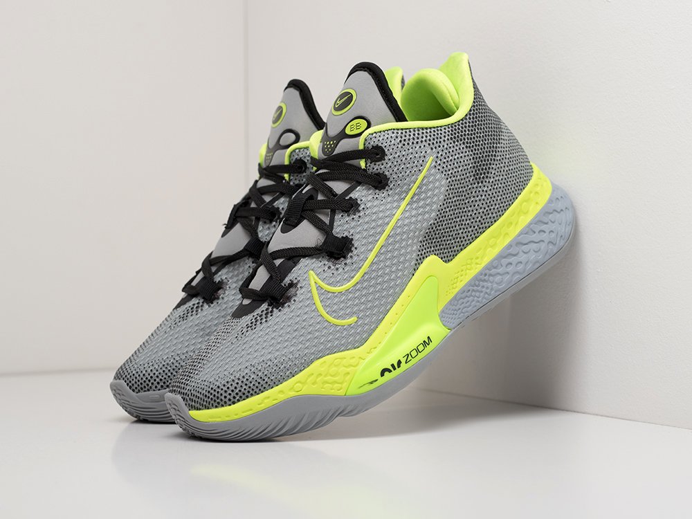 nike bb zoom nxt