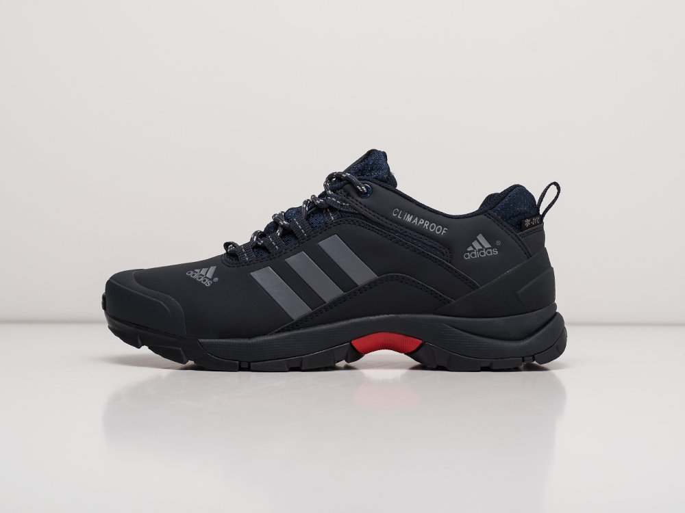 Adidas terrex sale ax2 climaproof shoes