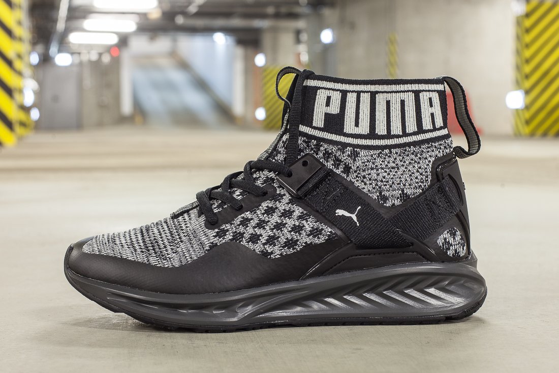 puma ignite evo