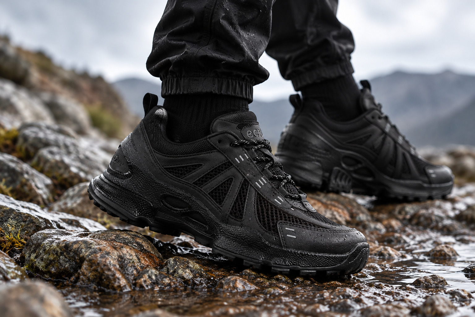 46331 onfoot