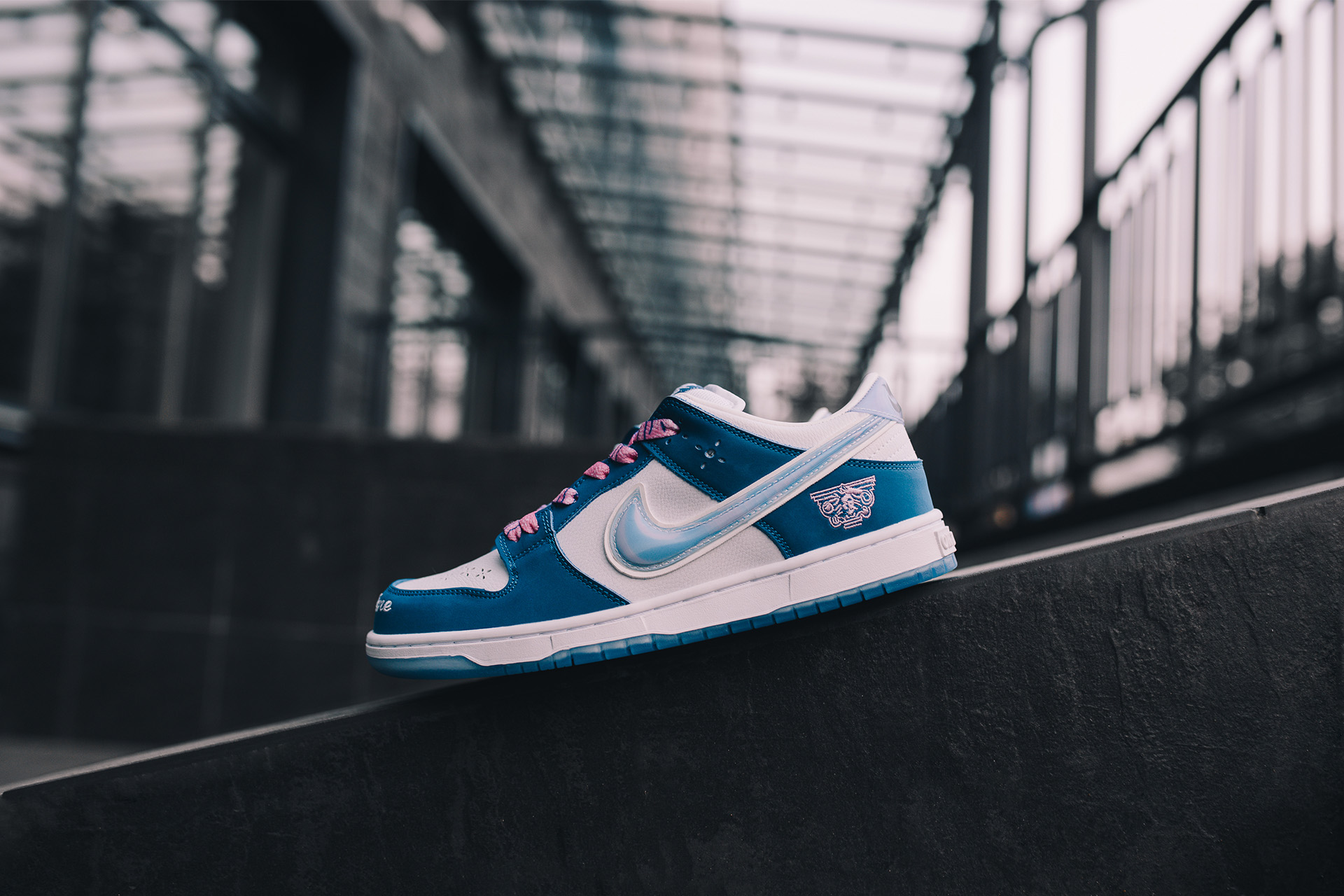 Nike SB Dunk Low Born x Raised One Block at A Time