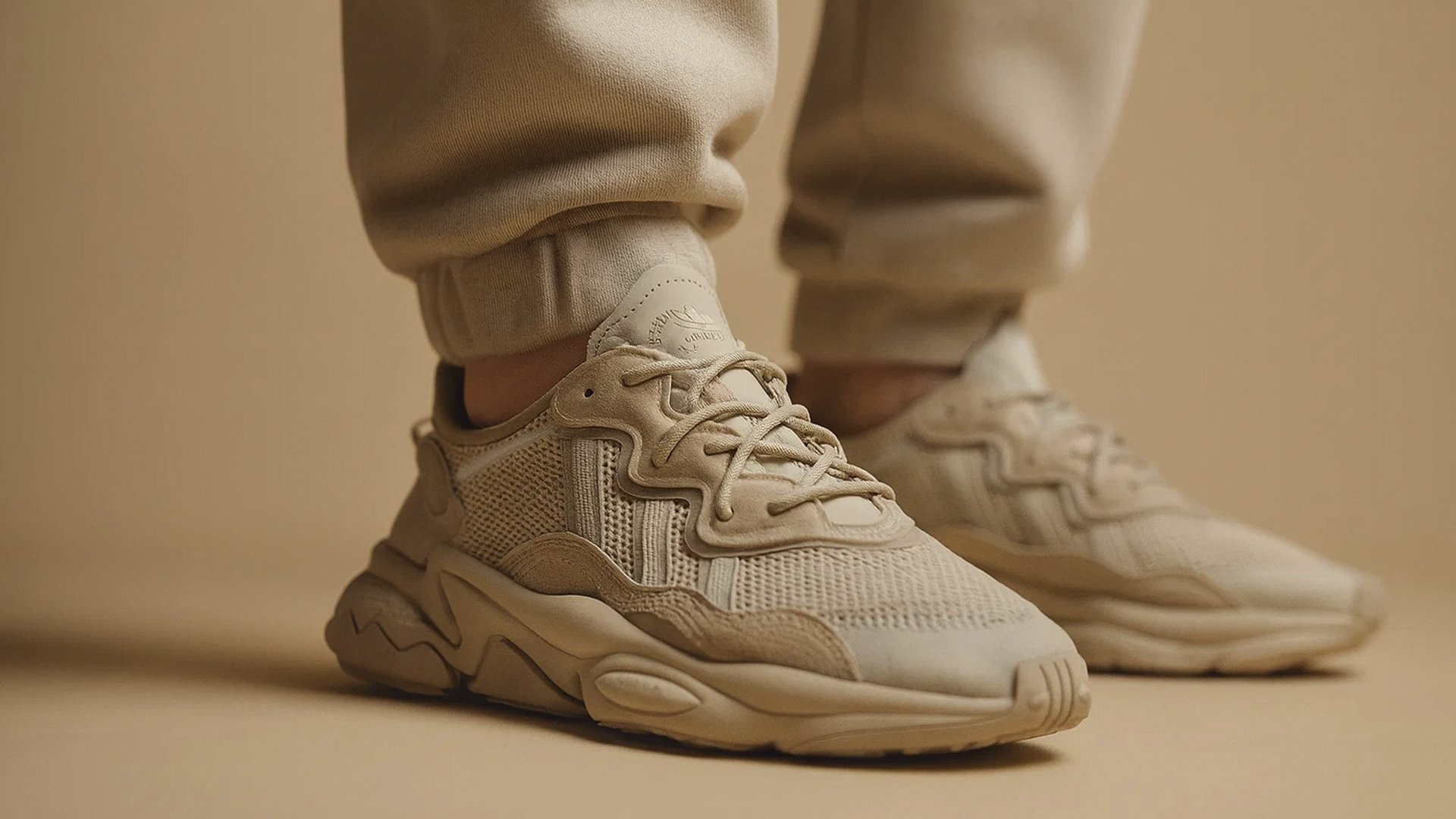 Обзор кроссовок Adidas Ozweego: назначение и особенности